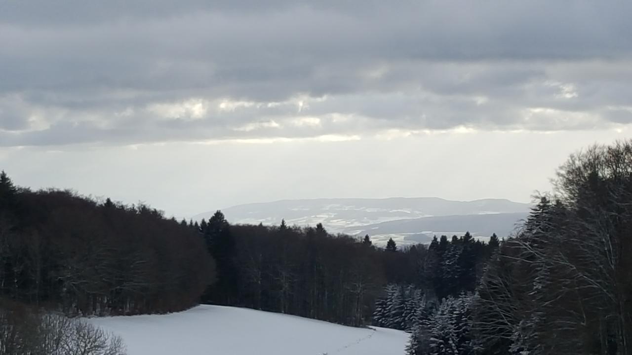 Hotel Gasthof Zum Hirschen Strittmatt Exteriér fotografie